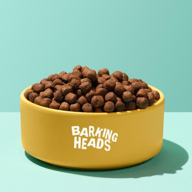 Barking Heads Fuss Pot Duck su antiena 2kg